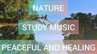 (1 HOUR) Music for study,meditation,calm,relaxing,focus,nature and concentration