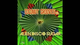 Alien Disco Sugar - Just Keep On Dancin (Original Mix)