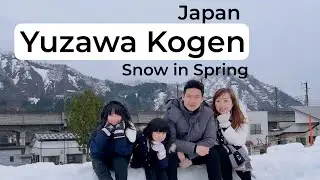 Yuzawa Kogen Japan | main salju di musim semi (Snow in Spring) 