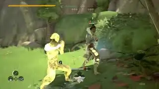 ABSOLVER Lag Example