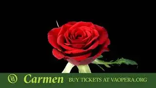 VAOPERA presents Carmen