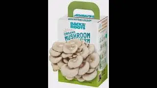 Home gardening related products available at amazon, gadgets & N market