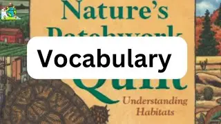Nature's Patchwork Quilt Vocabulary  Unit 2 Lesson 5 myView literacy Grade 3