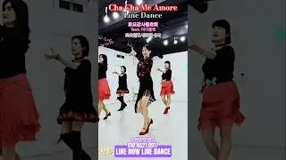 #Cha Cha Me Amore Line Dance#라인나우 #수원라인댄스 #토요강사동호회 #오늘도라인하세요