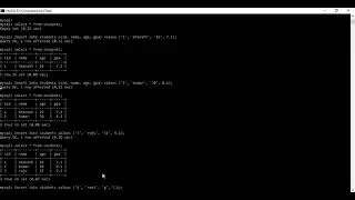 Domain Constraints in DBMS with practical session