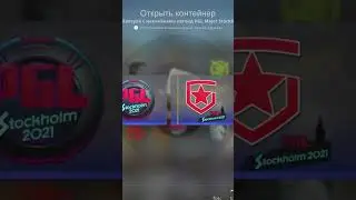 CS:GO opening Stockholm 2021 Stickers