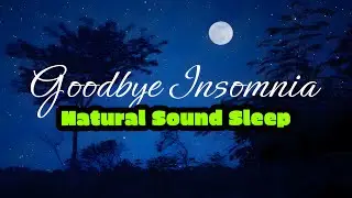 Nighttime Nature Sounds for Deep Sleep | Crickets & Frogs White Noise