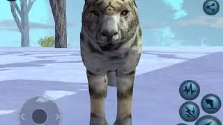 Rushing into the wild with a snow leopard! Ultimate arctic sim, the snow leopard story ep.1
