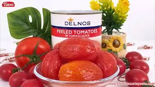 Whole Peeled Tomato 800g | 100% tomato | Support OEM&ODM | Customized private label | Tianz
