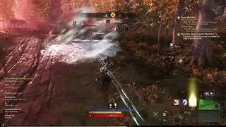 New world (open beta) PVP TANK VS MOBILITY DPS