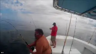 DTF Fishing