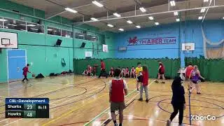 Ceredigion Basketball Development League 12/02/26