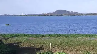 Chengalpattu Lake| Biggest Lake in Chennai | Chengalpattu Eri | Boat House