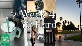 75 Hard - Week 4 | Hardest Week Yet: 5am mornings, solo parenting & big work / life updates
