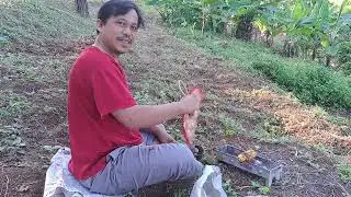 Camping di Alas Suko Trawas