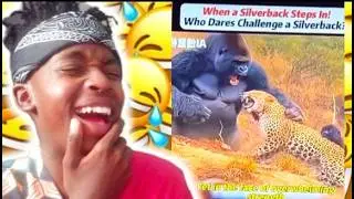 Try not to Laugh🤣*Impossible Edition*