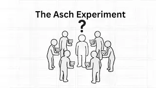 The Asch Experiment: Why We Abandon Reason Just to Fit In