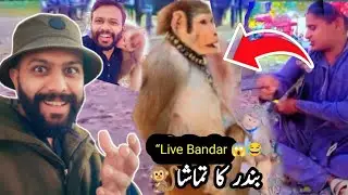Haryanvi Comedy 😂 | Bandar Aur Bandariya Ka Zabardast Khel | Funny Video