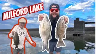 Milford Lake Smallies, Wipers, & White Bass!