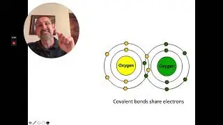 Human Biology Chemistry of Life