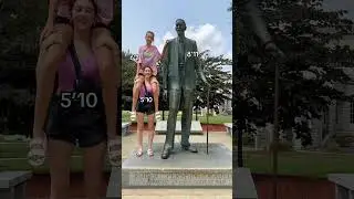 How tall is the world&rsquo;s tallest person #tall #tallfamily #short