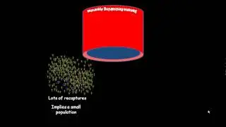 Mark and Recapture