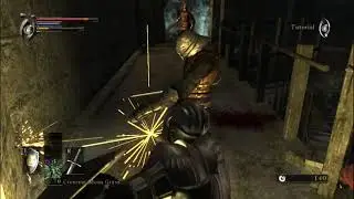 Demon's Souls PS3 Gameplay Tutorial (RPCS3 60FPS)