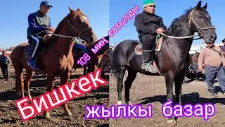 28.сентябрь Аттар сатылды 108..120 миңден Бишкек ат базар