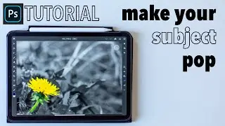 Photoshop on IPadPro Tutorial - Black & White separation/Color splash effect