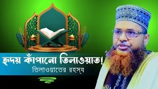 হৃদয় কাঁপানো তিলাওয়াতের রহস্য যা আপনার মনকে ছুঁয়ে যাবে!