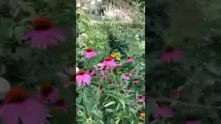 Ruth and Bill Hutter Garden Tour 2023