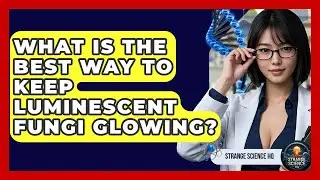What Is The Best Way To Keep Luminescent Fungi Glowing? - Strange Science HQ
