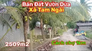Thành Hiếu Nhà Đất Cầu Kè, Vĩnh Long. Bán Đất Vườn Dừa DT 2509m2. Giá 650 triệu. Xã Tam Ngãi
