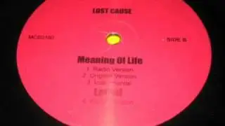 Lost Cause - Meaning of Life