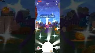 I caught a shiny Darkrai on Halloween