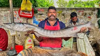 KASIMEDU SPEED SELVAM | HUGE BARRACUDA FISH CUTTING VIDEO | 4K VIDEO | KM FISH CUTTING 