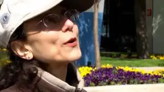 Independent Voters Protest Voting Restrictions