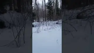Late Winter Grouse Point