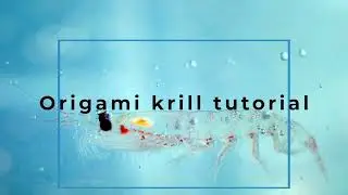 Origami krill tutorial