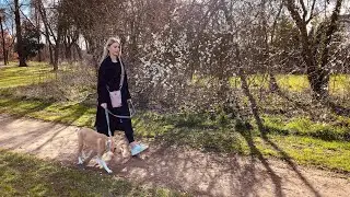 Frau Frauchen Gassitasche 🐶