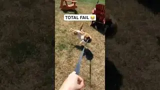 Harness Training Did NOT Go As Planned 😹