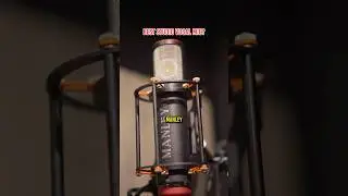 What is your go to studio vocal mic?#recordingstudio #hollywoodstudios #recording #microphone #vocal