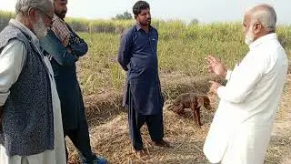 #آج سرکل منٹھار کے زمینداروں محمد یعقوب صاحب اور رضوان احمد صاحب سے انٹر کراپنگ پر گفتگو کی گئی ۔