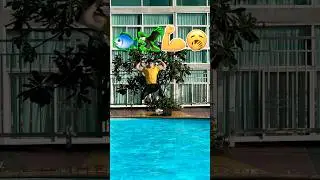 🅱️JUMP EMOJI CHALLENGE📸|HOW MANY LVLS WILL YOU PASS?🏆