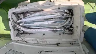 相模湾・深場のタチウオ釣り　まだまだ続きそう