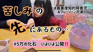 【今年1年お世話になりました】皆様どうぞ良いお年を…vol.27/最重度知的障害児育児記録/グレーゾーン？/希望を捨てないで…