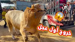 شاهد أجمل أجواء العيد داخل مزرعة الأرض الطيبة
