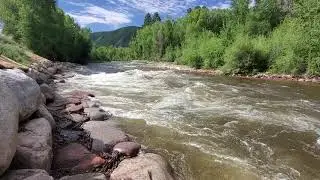 Basalt Wave 2020 Second Feature