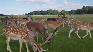 کۆنە هەواران جەلال کەریمی Jalal Karimi Kona Hawaran