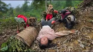 Harvesting Wild Honey with a Loyal Companion - ha thi muon